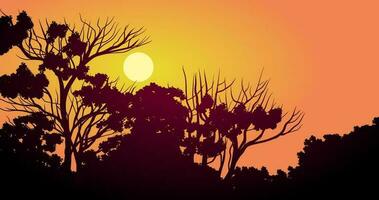 Vector woodland sunset illustration with trees in silhouette