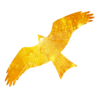 logo autocollant icône oiseau en volant png