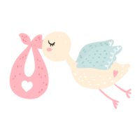 cute bird watercolor png