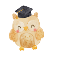 l'obtention du diplôme hibou aquarelle png