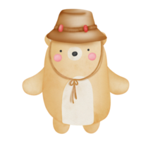 animal urso fofo png