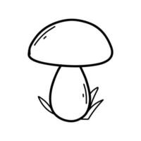 Mushroom in doodle style. Vector illustration. Linear boletus. Autumn mushrooms.