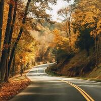 Schwarzwald autumn road on a sunny day. Autumn background. AI Generated photo