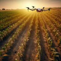 Quadcopter over a cornfield at sunset. Smart agriculture. Drone use for safety, terrain scanning technology, monitoring yield. Blurred field background. Generative AI photo