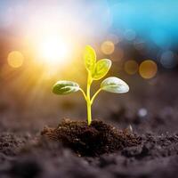 Sprout growing from the soil close-up on a blurred background. Bokeh effect. Selective focus. Generative AI photo