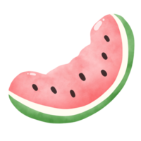 watermelon fruit watercolor png