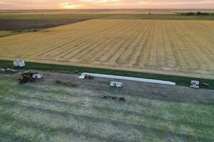 Silo bag work in pampas countryside, grain storage in La Pampa, Argentina photo