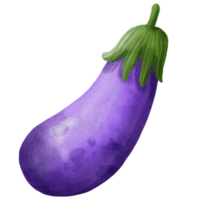 vegetabiliska äggplanta vattenfärg png