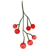 Natale frutti di bosco acquerello png