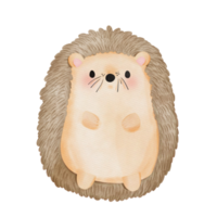 simpatico animale riccio png