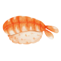 Japanese sushi watercolor png