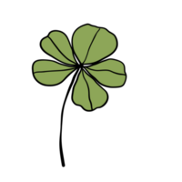 groene bladplant png