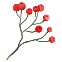 Weihnachten Beeren Aquarell png