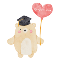 graduation bear watercolor png