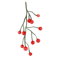 Natale frutti di bosco acquerello png