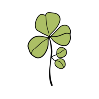 groene bladplant png