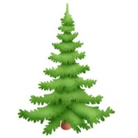 acquerello albero di natale png