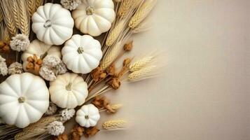 Cozy Autumn background wiyj pumpkins photo