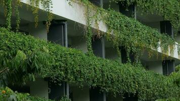 a building with green vines growing on the side of it video