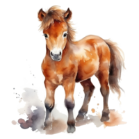 Cute watercolor pony isolated png