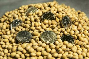 Dollars banknotes and coins and soy beans, commoditi value concept. photo