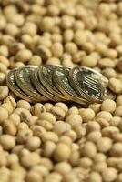 Soy beans, with metal money, concept of value of commodity. photo