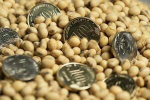 Soy beans, with metal money, concept of value of commodity. photo