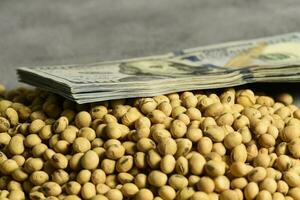 Dollars banknotes and coins and soy beans, commoditi value concept. photo