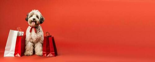 Dog with shopping bags red background with empty space photo