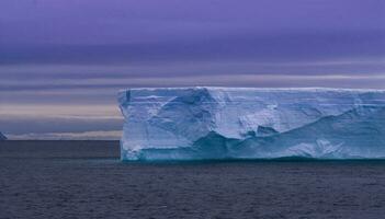 Paulet island , Antartic landscape, south pole photo
