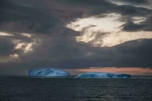 Paulet island , Antartic landscape, south pole photo