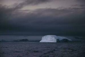paulet isla , antártico paisaje, sur polo foto
