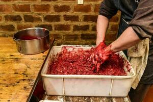 Handmade blood sausage preparation, Argentine tradition, Pampas, Patagonia photo