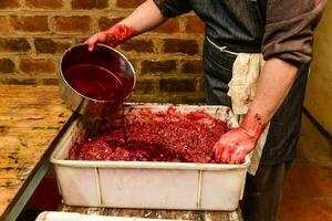 Handmade blood sausage preparation, Argentine tradition, Pampas, Patagonia photo