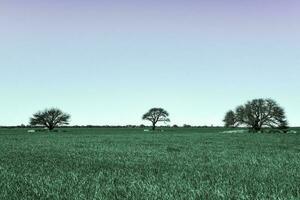 Colorful landscape, Pampas, Argentina photo