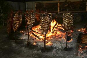 Cow ribbs on the spit, Patagonia, Argentina photo