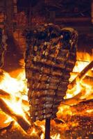 Cow ribbs on the spit, Patagonia, Argentina photo