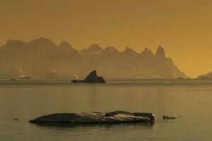 Lemaire strait coast, mountains and icebergs, Antartica photo