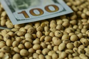 Dollars banknotes and coins and soy beans, commoditi value concept. photo