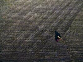 tractor y maquinaria agrícola , sembrando, la pampa, argentina foto