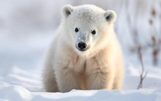 Polar bear cub in the snowy tundra. AI, photo