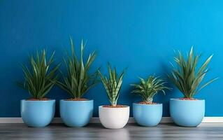 Cactus in a blue pot on blue background. AI, Generative AI photo
