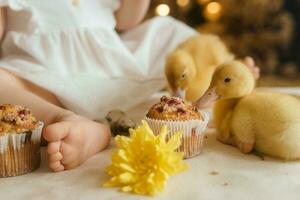 A little girl is sitting on the Easter table and playing with cute fluffy ducklings. The concept of celebrating happy Easter. photo