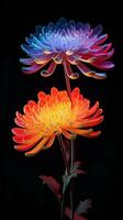 Abstract flower wallpaper with black background, backlit photography photo