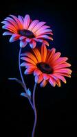 Abstract floral wallpaper with black background, backlit photography photo