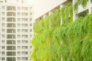 vertical jardín pared en verde ciudad naturaleza para eco absorber carbón se hunde y enfriamiento edificio. foto