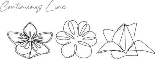 Set of floral continuous line drawing bundles vector