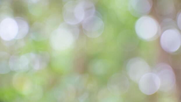 a blurry image of a tree with leaves photo