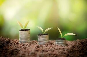 Tres monedas con verde plantas creciente fuera de ellos foto