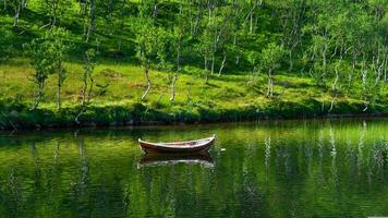 un pequeño barco adentro, un estanque estanque todas alrededor, con muchos hermoso, natural, verde, pequeño árboles, paisaje, alto resolución antecedentes imágenes foto